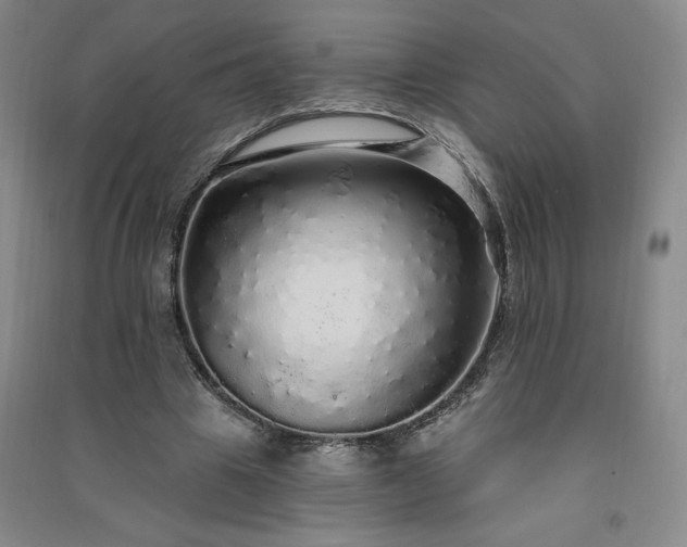 X0000091330441200708171354