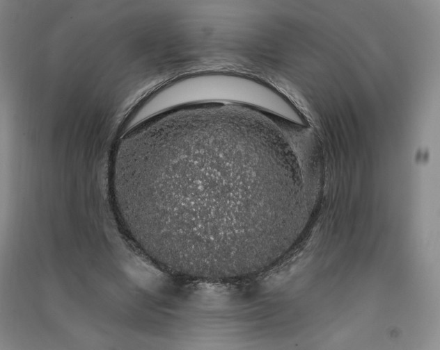 X0000091330442200708171354