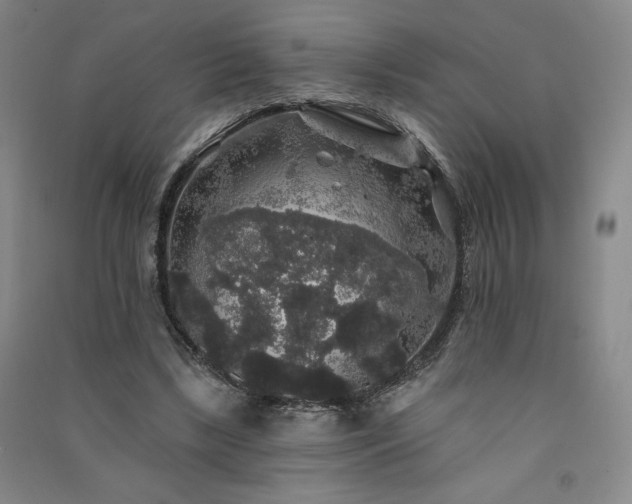 X0000091330443200708171354