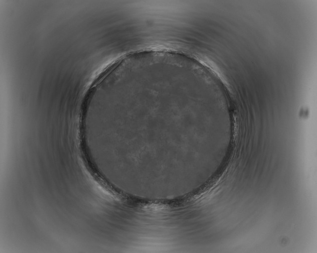 X0000091330444200708171354