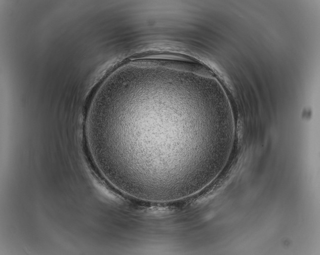 X0000091330445200708171354