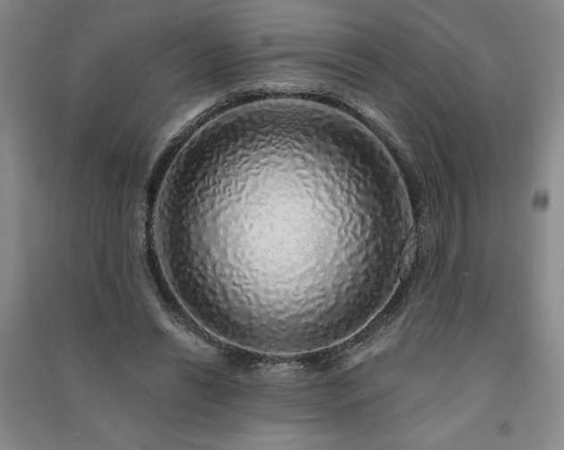 X0000091330446200708171354