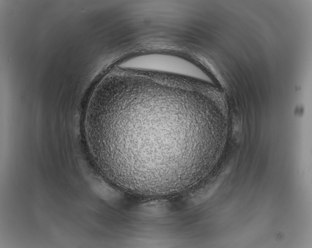 X0000091330447200708171354