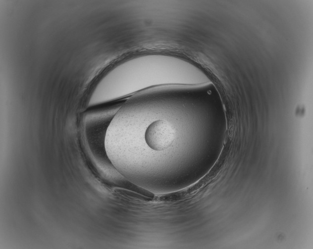 X0000091330448200708171354