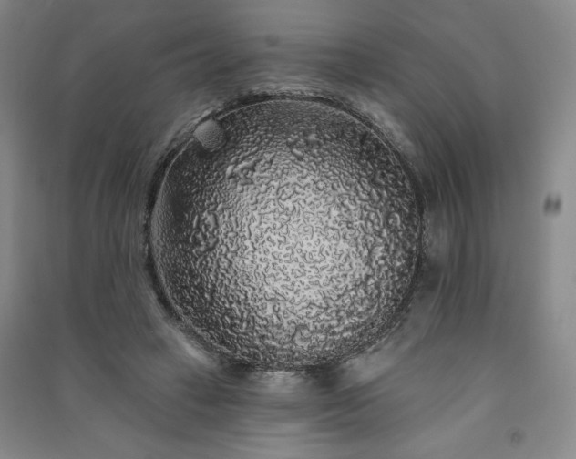 X0000091330449200708171354