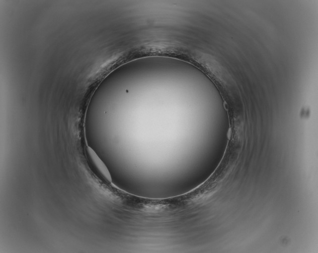 X0000091330450200708171354