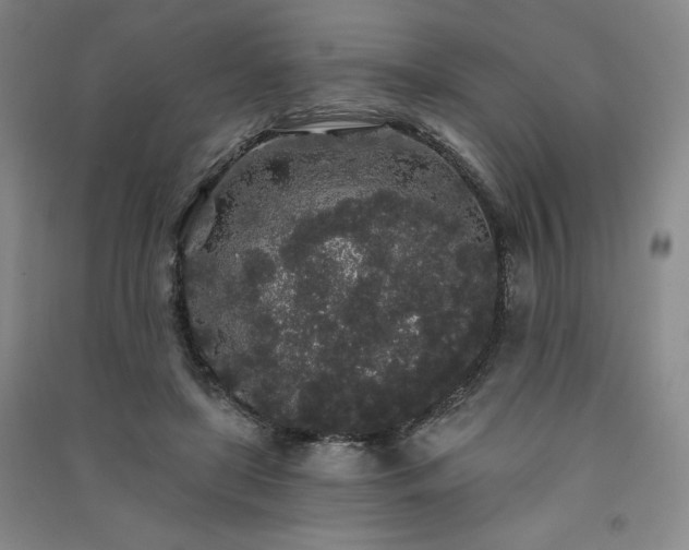 X0000091330451200708171354