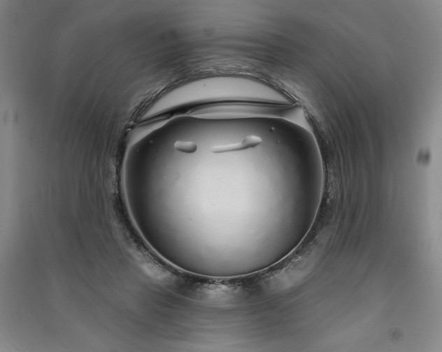 X0000091330453200708171354