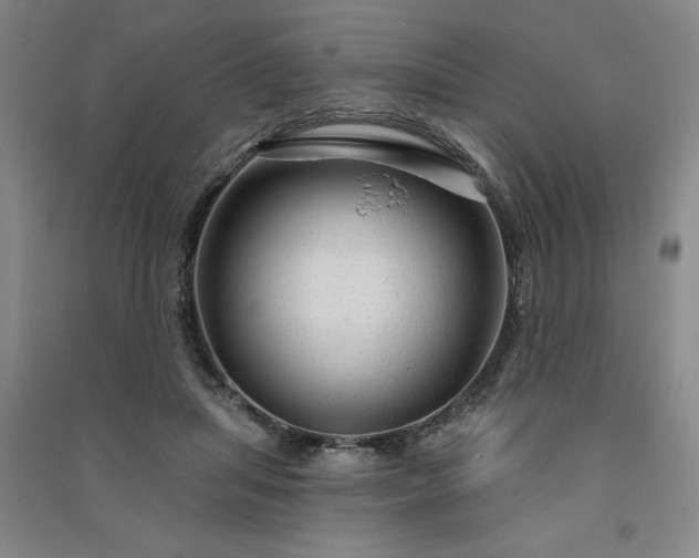 X0000091330455200708171354