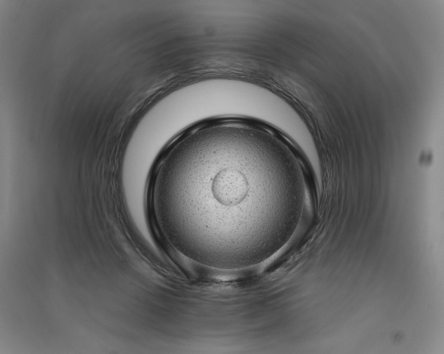 X0000091330456200708171354