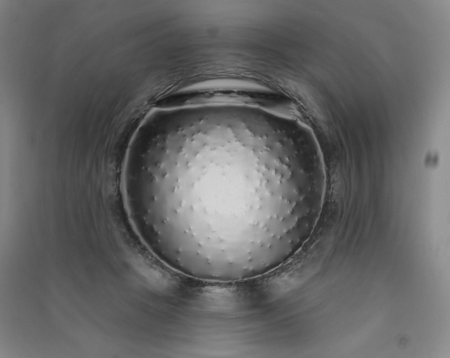 X0000091330457200708171354