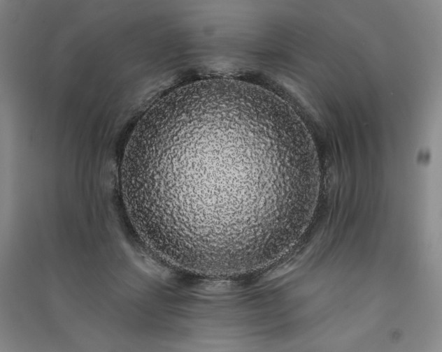 X0000091330459200708171354