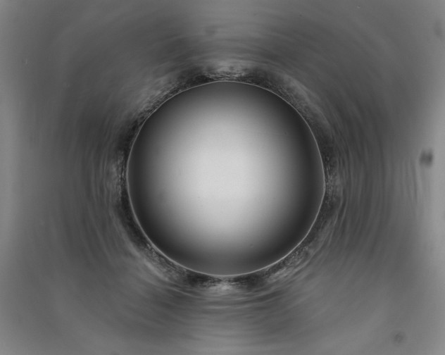 X0000091330460200708171354