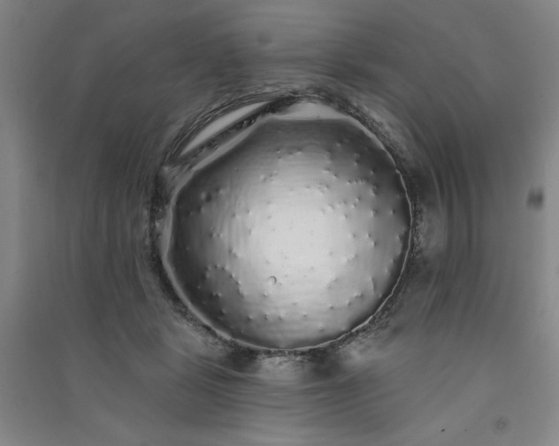 X0000091330461200708171354