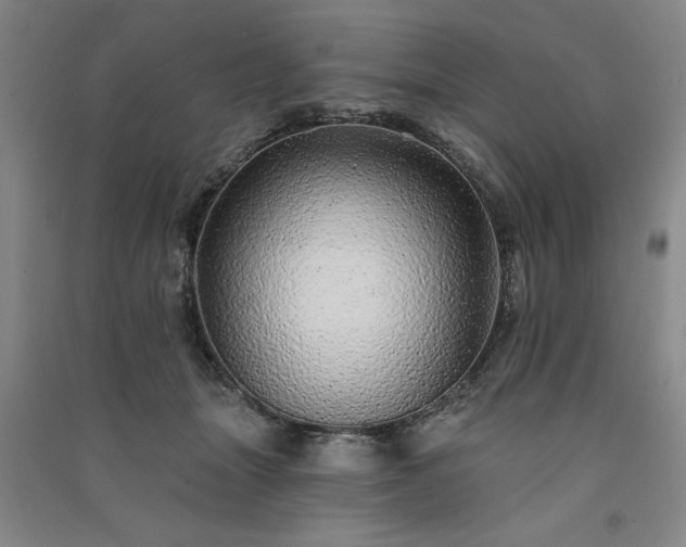 X0000091330463200708171354