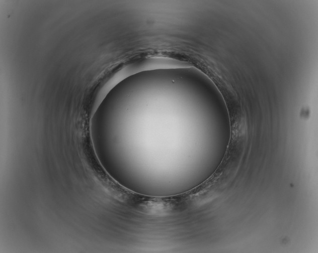 X0000091330464200708171354