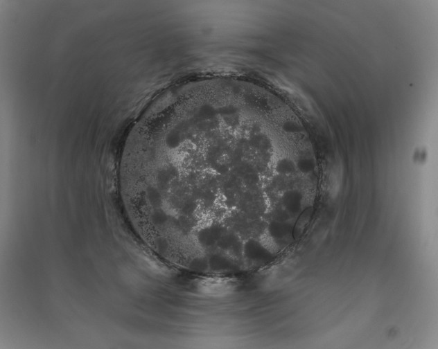 X0000091330465200708171354