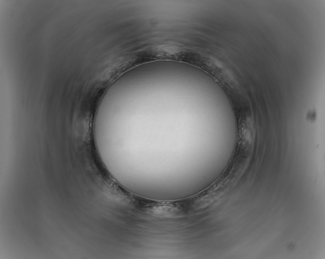 X0000091330468200708171354