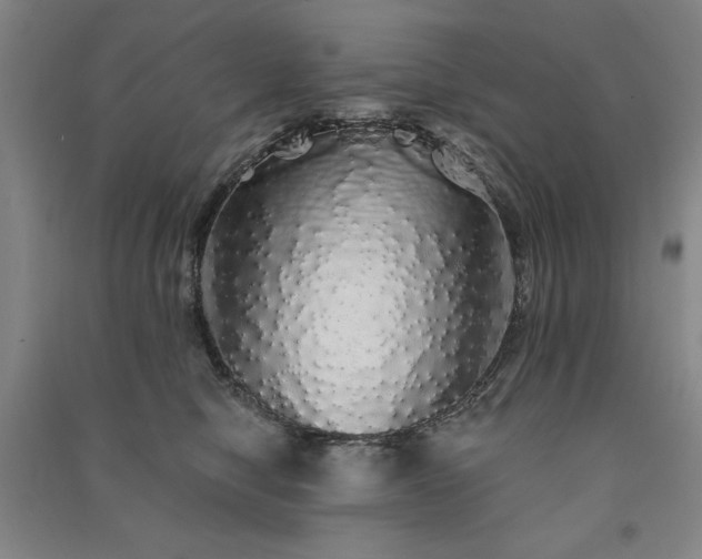 X0000091330470200708171355