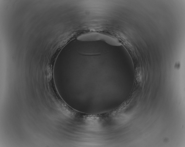 X0000091330471200708171355