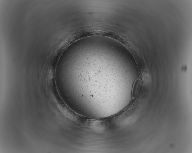 X0000091330472200708171355