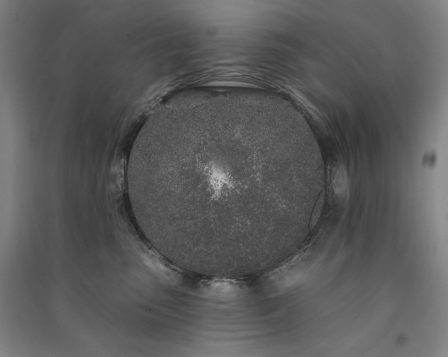 X0000091330475200708171355