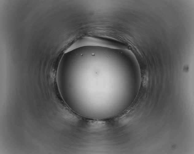 X0000091330476200708171355