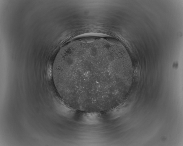 X0000091330479200708171355