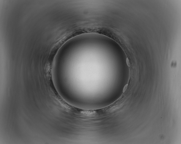 X0000091330480200708171355