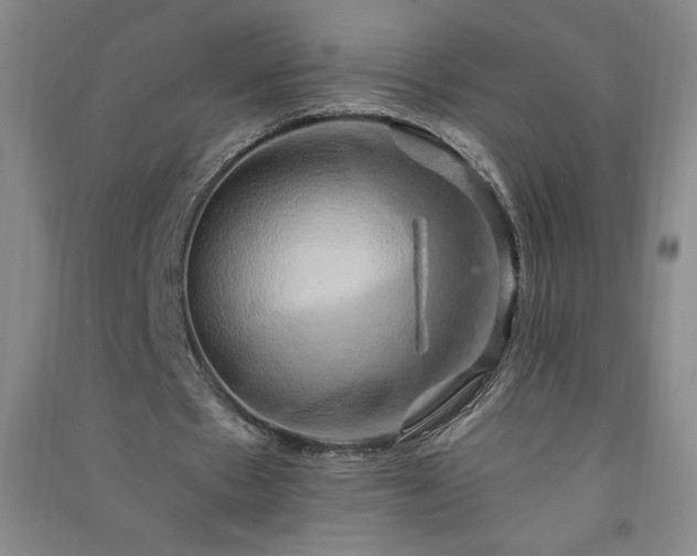 X0000091330481200708171354