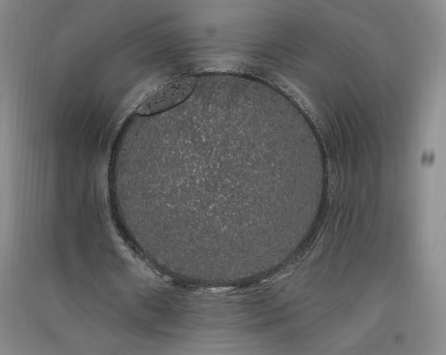 X0000091330482200708171354