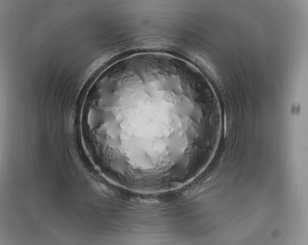 X0000091330483200708171354