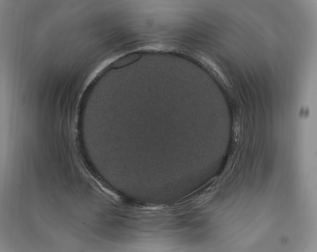 X0000091330484200708171354