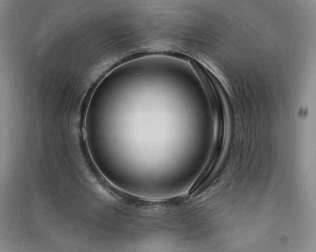 X0000091330485200708171354