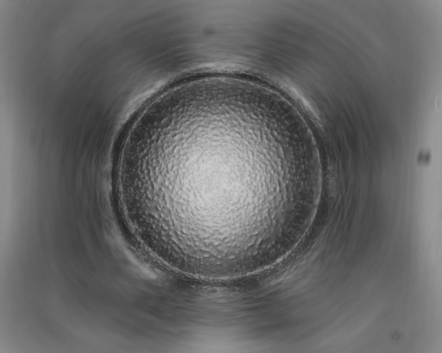 X0000091330486200708171354