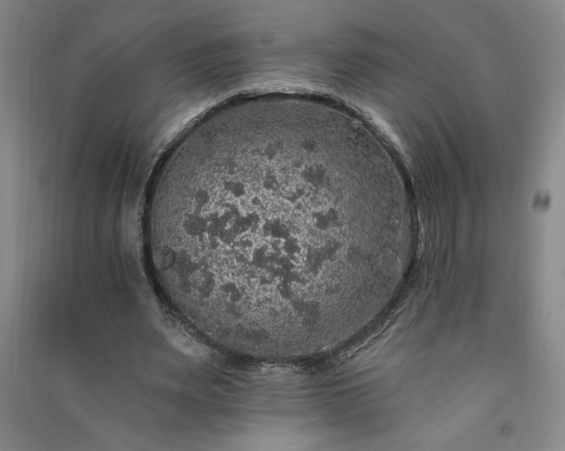 X0000091330487200708171354