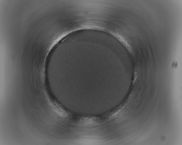 X0000091330488200708171354