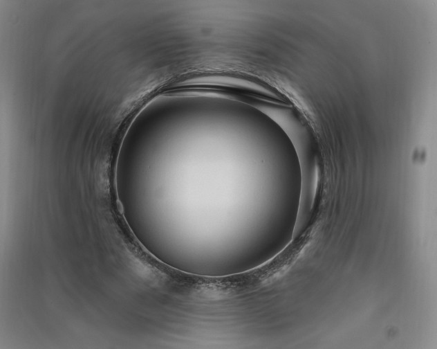 X0000091330489200708171354