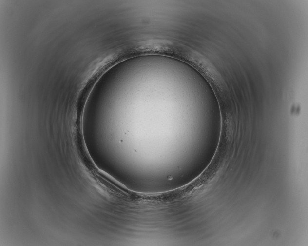 X0000091330490200708171354