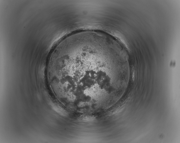 X0000091330491200708171354