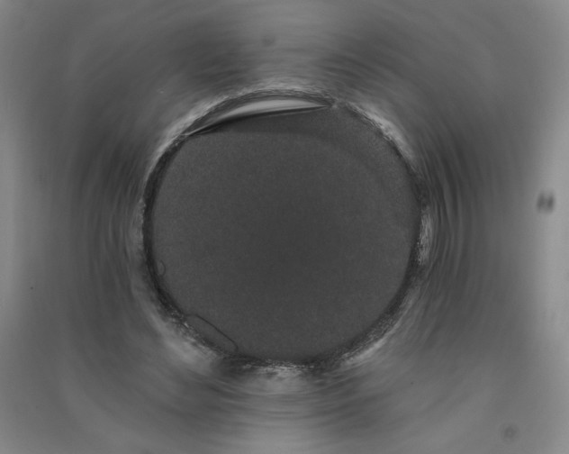 X0000091330492200708171354