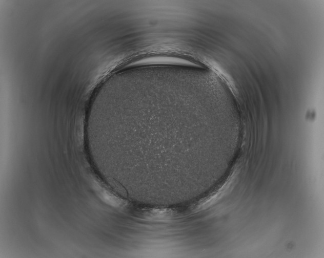 X0000091330493200708171354