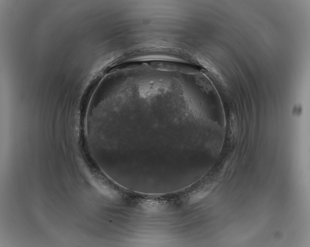 X0000091330494200708171354