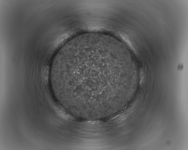 X0000091330495200708171354