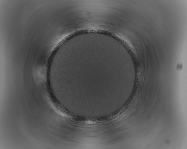 X0000091330496200708171354