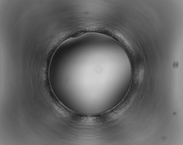 X0000091330497200708171354