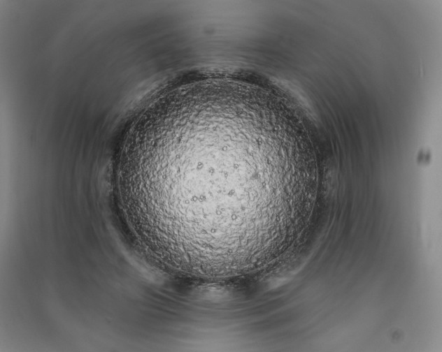 X0000091330498200708171354