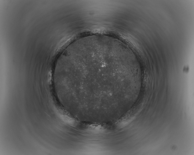 X0000091330502200708171354