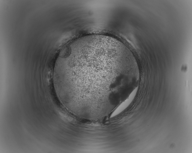 X0000091330503200708171354