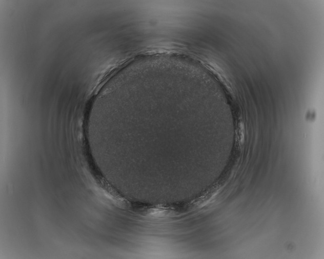 X0000091330504200708171354